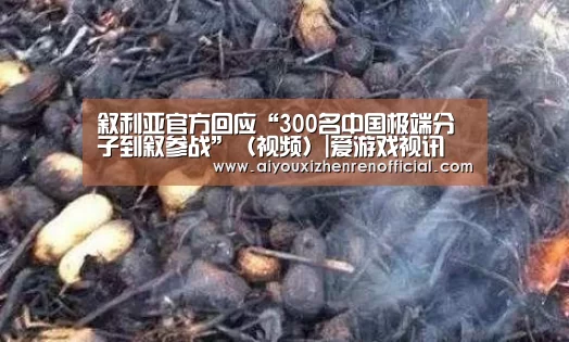 爱游戏视讯