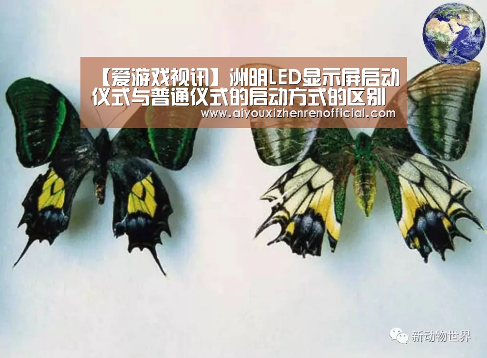 【爱游戏视讯】洲明LED显示屏启动仪式与普通仪式的启动方式的区别(图2) 爱游戏官网
