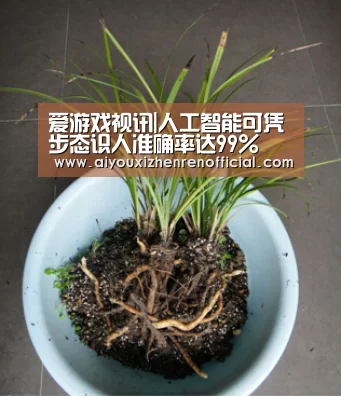 爱游戏视讯|人工智能可凭步态识人准确率达99%(图3) 爱游戏真人