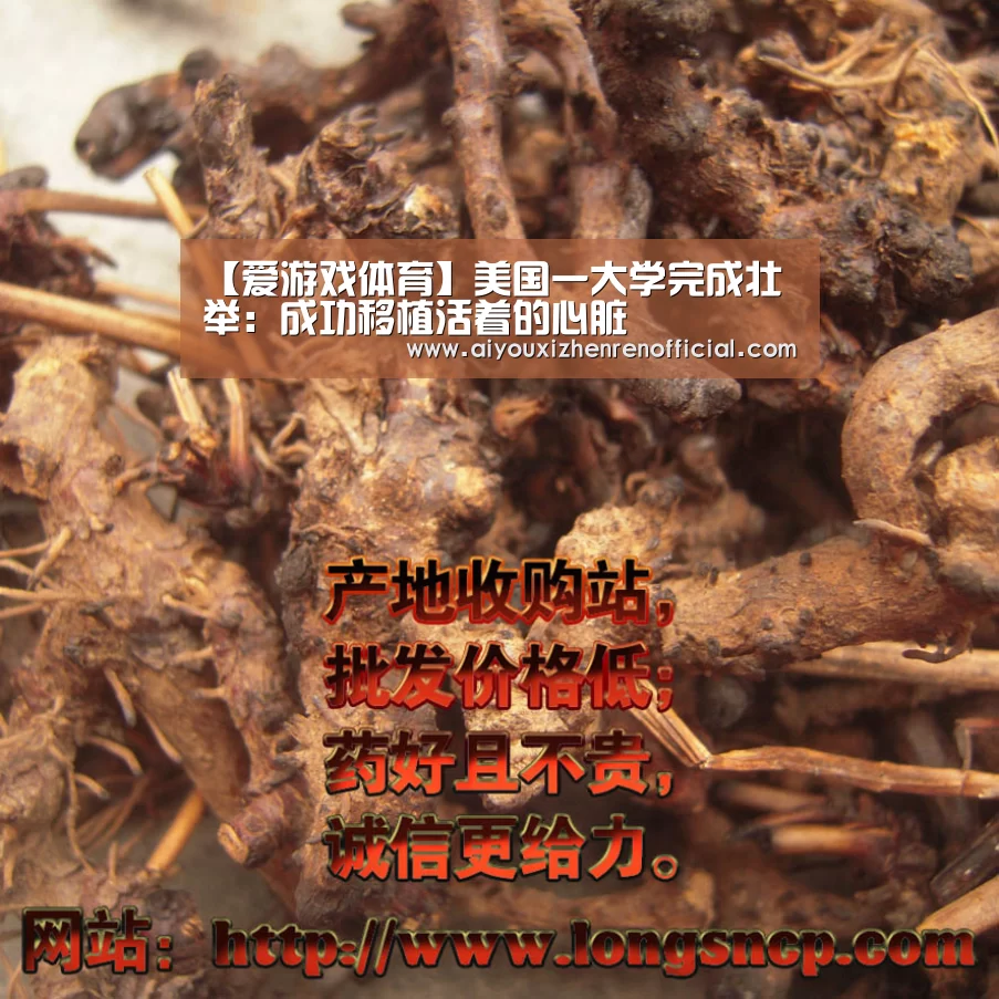 爱游戏体育