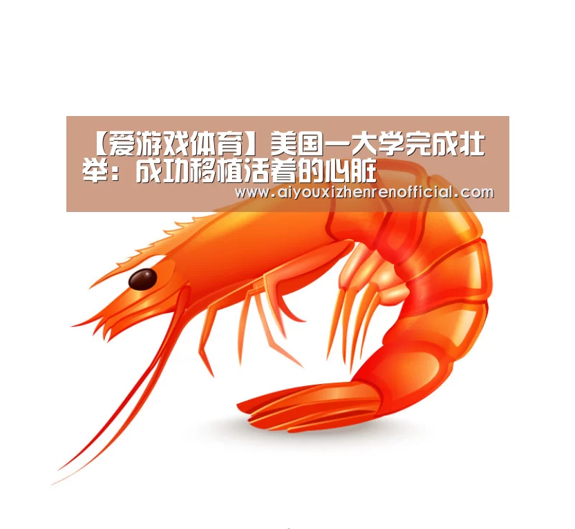 爱游戏视讯