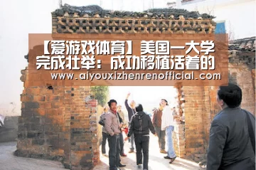 爱游戏视讯